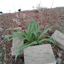 My Outdoor Collections