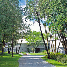 Vermont woodland landscaping