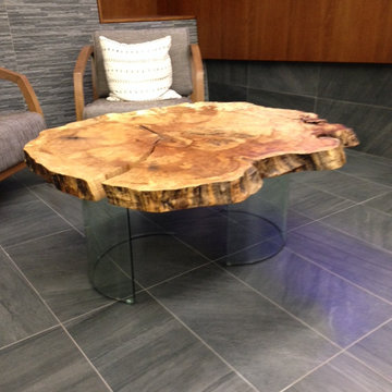 Maple Cross-Section Live Edge Coffee Table w/ Curved Glass Support