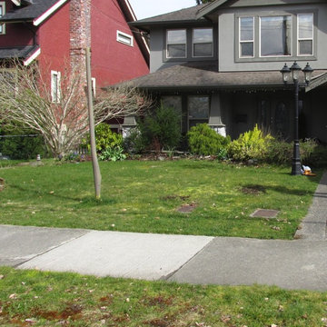Family garden