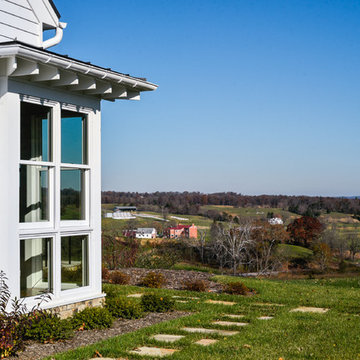 Meadow View