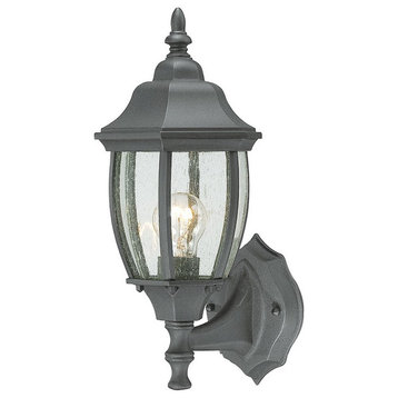 Thomas Lighting Covington 1-Light Outdoor Wall Lantern SL92237 - Black