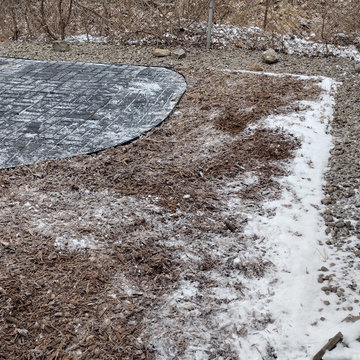 Regina's Dog-Friendly Yard