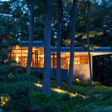 Naturally Modern
