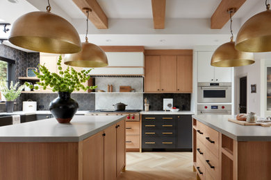 Kitchen - modern kitchen idea in San Francisco