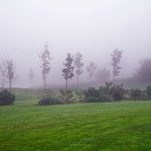 land scape
