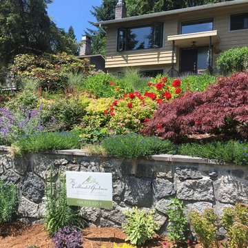 Port Moody Steep Slope