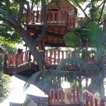 Rossmoore treehouse