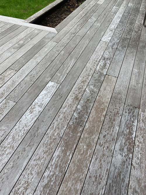 Blotches on ipe wood deck
