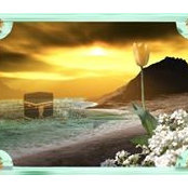 Foto von Siddika Abay