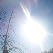 Benjamin Jampole's photo