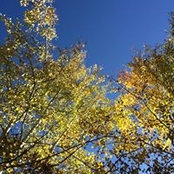 Pamela Slobin's photo