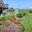 Perennial Lawn Care Service Llc