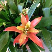 Rochelle Doepke's photo