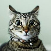 Vasily Sopilnyak's photo