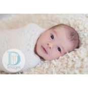 Harry Foteades's photo