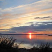 Michelle Larouche's photo