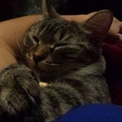 Melody Thompson's photo