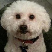 Julie Anchustigui's photo
