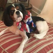 Elizabeth Stanton's photo
