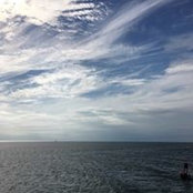 Kate Johnson's photo