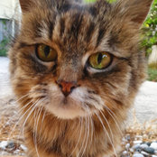 Belinda's photo