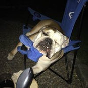 Roxanne Kakitis's photo