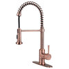 Fontaine by Italia Residential Spring Faucet With 2 Spray Heads and Deck Plate i