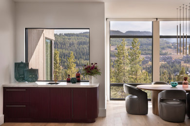 Inspiration for a contemporary dining room remodel in Other