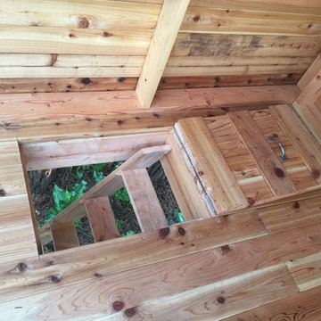 Petaluma Treehouse