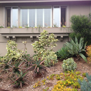 Mittelgroßer, Halbschattiger Stilmix Hanggarten im Winter mit Mulch in San Diego