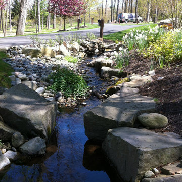 Meandering stream adds a natural dynamic to the suburban setting
