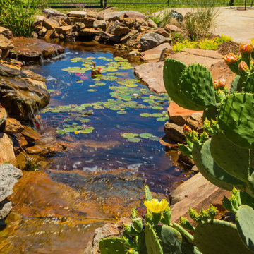 The Golden Pond and Water Features