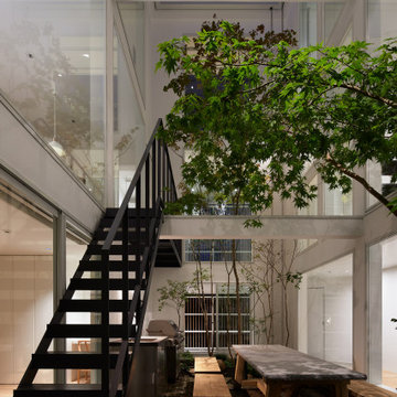 House Connected by Courtyard