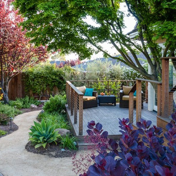 Water Wise Garden