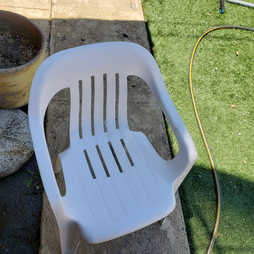 Backyard clean up and remodel