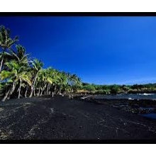 Hawaiian Bathroom
