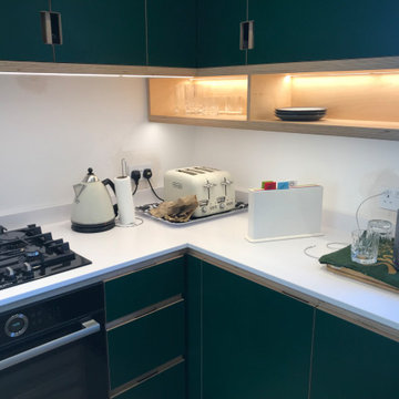 Silestone Blanco Zeus, Suede finish with Integrity One sink