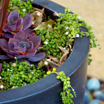 Small Cottage Garden