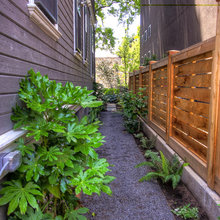 olive fence