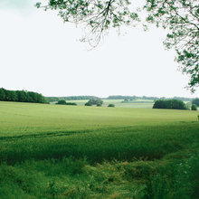 Landschaft
