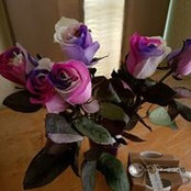 Crystal Cooper's photo