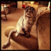 Joni Horn's photo