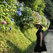 Foto von Mulan Cen