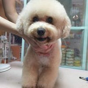 Yan Yan's photo