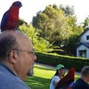 Tom Lubart's photo