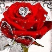 Deborah Fairchild's photo
