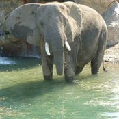 Paul Pavlata's photo