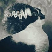 Foto von Debbie Hoo