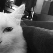 Joshua Crouch's photo
